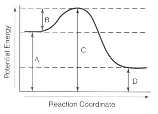 endothermic and exothermic reaction graph