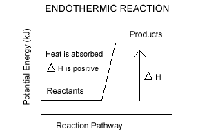endothermic exothermic
