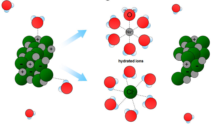 Like Dissolves Like And Molecule Ion Attractions